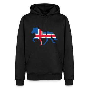 Töltende Islandais avec drapeau islandais - Sweat à capuche Premium bio Homme - noir - Devant - Nico (187cm)