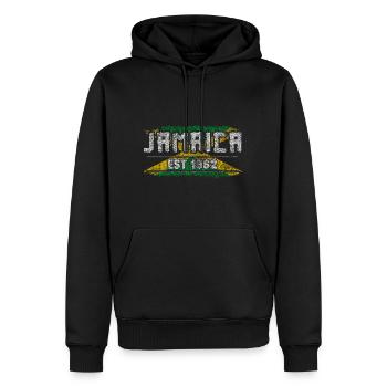 Drapeau de la Jamaïque cadeau Rasta Reggae - Sweat à capuche Premium bio Homme - noir - Devant - Nico (187cm)