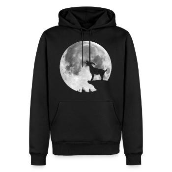 Vollmond in Köln - Männer Premium Bio Hoodie - Schwarz - Vorne - Nico (187cm)
