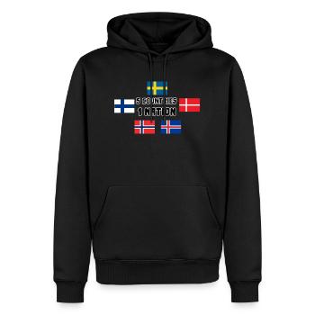 5 pays 1 nation Scandinavie drapeaux cadeau - Sweat à capuche Premium bio Homme - noir - Devant - Nico (187cm)