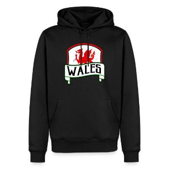 Drache Flagge Wales Kelten Herkunft Geschenk - Männer Premium Bio Hoodie - Schwarz - Vorne - Nico (187cm)