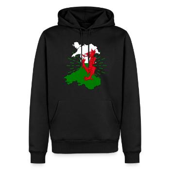 Wales Flagge Kelten Cardiff Nation Drache - Männer Premium Bio Hoodie - Schwarz - Vorne - Nico (187cm)
