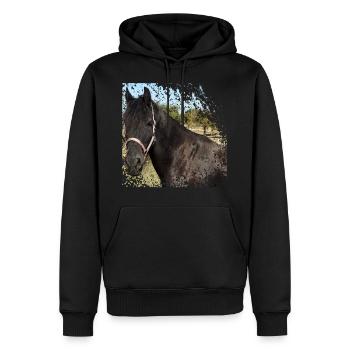 Who does not want to ride on this horse? - Men’s Premium Organic Hoodie - black - Front - Nico (187cm)