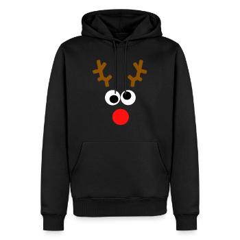 Rennais - Noël, Avent, Rudolf - Sweat à capuche Premium bio Homme - noir - Devant - Nico (187cm)