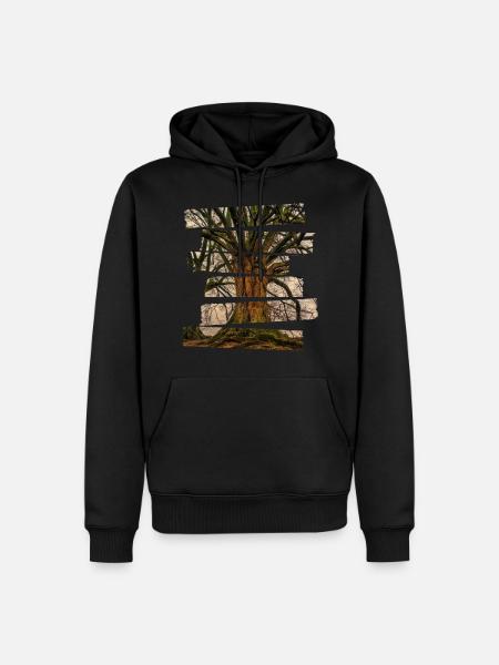 Arbre de vie paysage - Sweat à capuche Premium bio Homme - noir