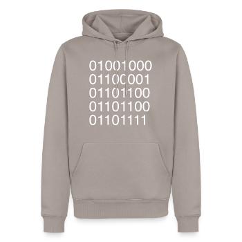 Informaticien code ASCII binaire - Sweat à capuche Premium bio Homme - taupe - Devant - Nico (187cm)