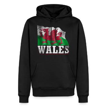 Wales Flagge - Männer Premium Bio Hoodie - Schwarz - Vorne - Nico (187cm)