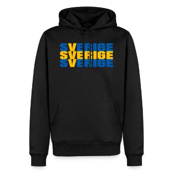 Suède Suédois Sverige - Sweat à capuche Premium bio Homme - noir - Devant - Nico (187cm)