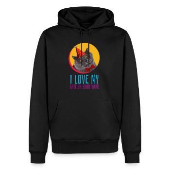 Cadeau d'anniversaire de chapeau d'anniversaire de chapeau de Britsch - Sweat à capuche Premium bio Homme - noir - Devant - Nico (187cm)