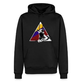 Brit Shorthair, chat domestique, cadeau persan - Sweat à capuche Premium bio Homme - noir - Devant - Nico (187cm)