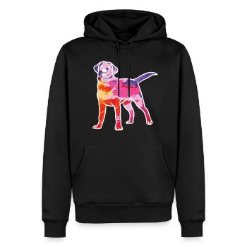 Regenbogen Labrador Retriever Hund Geschenk - Männer Premium Bio Hoodie - Schwarz - Vorne - Nico (187cm)