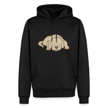 Schlafender Hund - Männer Premium Bio Hoodie - Schwarz - Vorne - Nico (187cm)