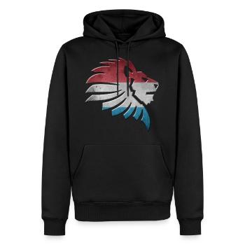 Luxembourg - Sweat à capuche Premium bio Homme - noir - Devant - Nico (187cm)