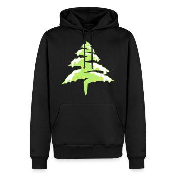 les lumières de la neige weihna - Sweat à capuche Premium bio Homme - noir - Devant - Nico (187cm)