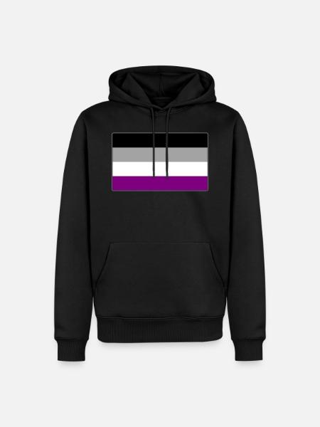 Asexual Pride Flag - Men’s Premium Organic Hoodie - black