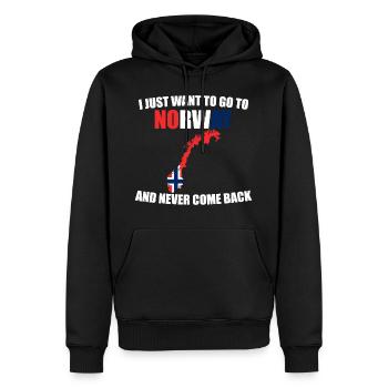 Norwegen - Männer Premium Bio Hoodie - Schwarz - Vorne - Nico (187cm)