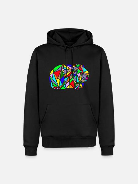 polygon guinea pig rainbow - Men’s Premium Organic Hoodie - black