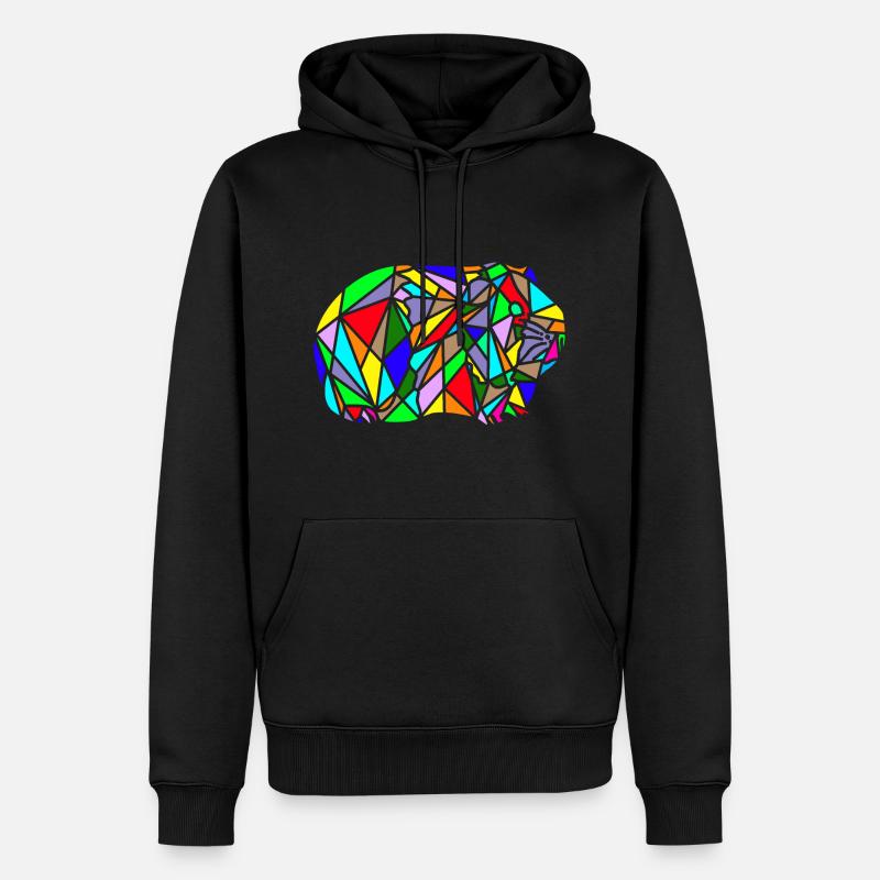arc en ciel de cochon dinde polygone - Sweat à capuche Premium bio Homme - noir
