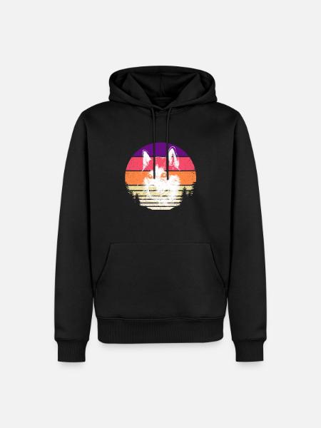 Alaska sunset sunset - Men’s Premium Organic Hoodie - black