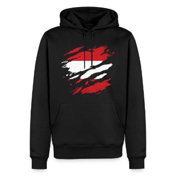 Austria - National flag, scratches, cracks - Men’s Premium Organic Hoodie - black - Front - Nico (187cm)