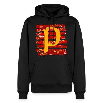 Bandes E 232 P - Sweat à capuche Premium bio Homme - noir - Devant - Nico (187cm)