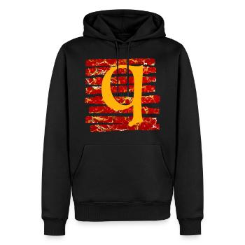 Bande E 232 Q - Sweat à capuche Premium bio Homme - noir - Devant - Nico (187cm)