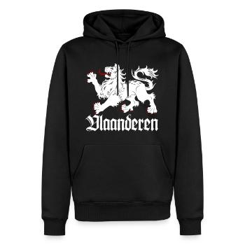 Löwe von Flandern - Männer Premium Bio Hoodie - Schwarz - Vorne - Nico (187cm)