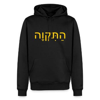 Hatikvah התקווה - Männer Premium Bio Hoodie - Schwarz - Vorne - Nico (187cm)