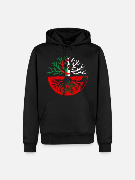 Maroc Algérie Mes Racines Khawa Khawa - Sweat à capuche Premium bio Homme - noir