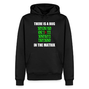 There is a bug in matrix ladybug pun, binary - Men’s Premium Organic Hoodie - black - Front - Nico (187cm)