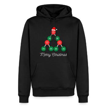Joyeux Noël chimique (lettres blanches) - Sweat à capuche Premium bio Homme - noir - Devant - Nico (187cm)