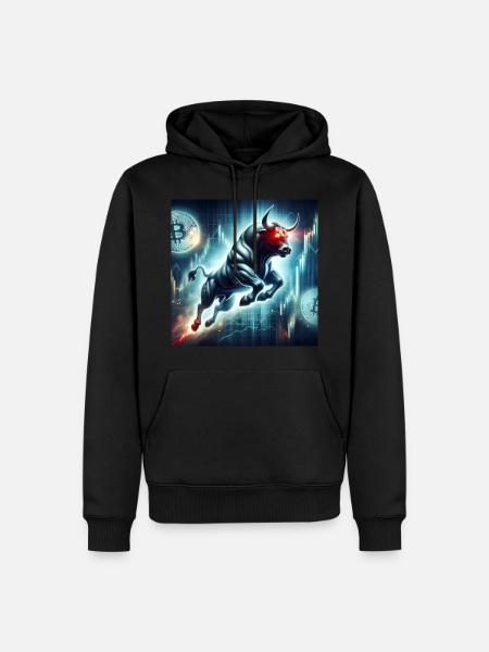 Bitcoin Bullrun Crypto BTC - Sweat à capuche Premium bio Homme - noir