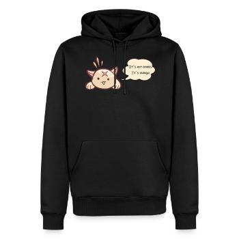 Das sind keine Comics das sind Manga - Männer Premium Bio Hoodie - Schwarz - Vorne - Nico (187cm)
