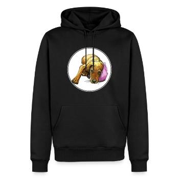 Segugio Italiano Italienischer Hund Aquarell Illustrati - Männer Premium Bio Hoodie - Schwarz - Vorne - Nico (187cm)