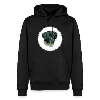 Illustration de l’aquarelle du chien Wetterhoun - Sweat à capuche Premium bio Homme - noir - Devant - Nico (187cm)