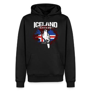 Fierté de l’île d’Islande - Sweat à capuche Premium bio Homme - noir - Devant - Nico (187cm)
