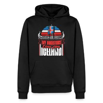Island Staat - Männer Premium Bio Hoodie - Schwarz - Vorne - Nico (187cm)