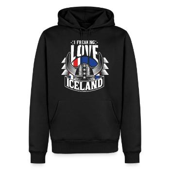 Islande Île volcanique Fahne - Sweat à capuche Premium bio Homme - noir - Devant - Nico (187cm)