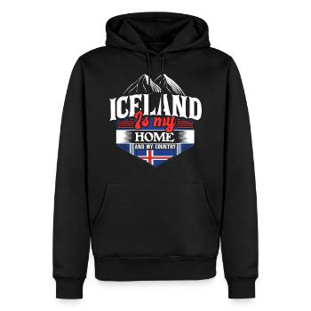 Idée cadeau Iceland Island Origin - Sweat à capuche Premium bio Homme - noir - Devant - Nico (187cm)