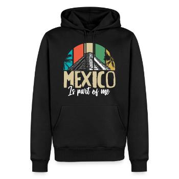 Mexique État des cactus - Sweat à capuche Premium bio Homme - noir - Devant - Nico (187cm)