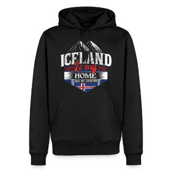 Cadeau de la République du volcan d’Islande - Sweat à capuche Premium bio Homme - noir - Devant - Nico (187cm)
