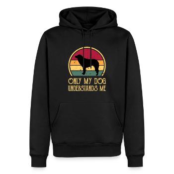 Aidi Dog Silhouette Vintage Sunset pour les amoureux des chiens - Sweat à capuche Premium bio Homme - noir - Devant - Nico (187cm)