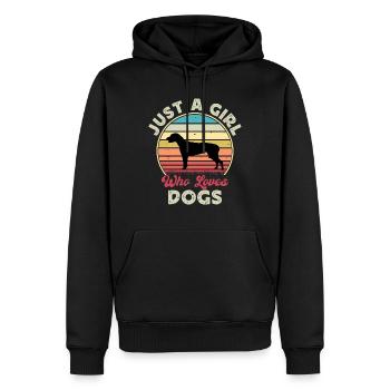 American Foxhound Dog Love Silhouette Retro Sunset - Sweat à capuche Premium bio Homme - noir - Devant - Nico (187cm)