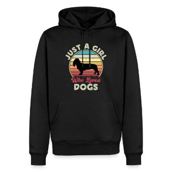 Basset Artesien Normand Hund Silhouette Retro Sun - Männer Premium Bio Hoodie - Schwarz - Vorne - Nico (187cm)