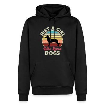 Beauceron Hundeliebhaber Silhouette Vintage Sonnenuntergang - Männer Premium Bio Hoodie - Schwarz - Vorne - Nico (187cm)