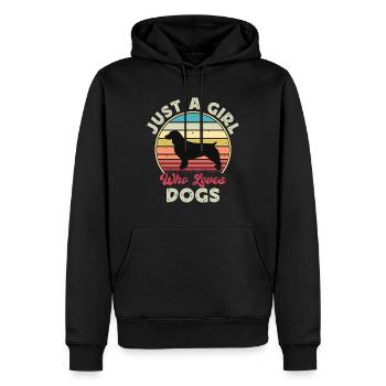 Boykin Spaniel Dog Lover Silhouette Vintage Sunset - Sweat à capuche Premium bio Homme - noir - Devant - Nico (187cm)