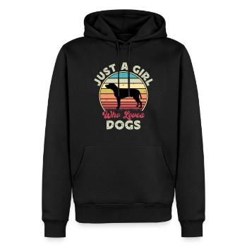 Braque du Bourbonnais Hund Silhouette Retro Sonnenuntergang - Männer Premium Bio Hoodie - Schwarz - Vorne - Nico (187cm)