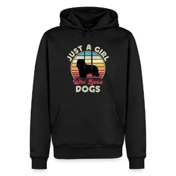 Briard Dog Lover Silhouette Vintage Sunset - Sweat à capuche Premium bio Homme - noir - Devant - Nico (187cm)