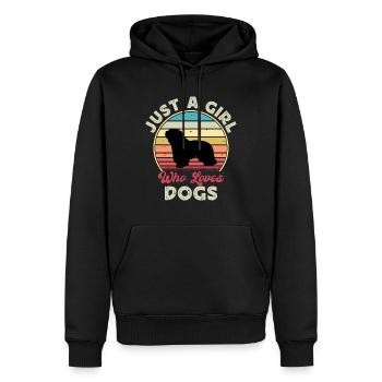 Cao Da Serra De Aires Hund Silhouette Retro Sonnenuntergang - Männer Premium Bio Hoodie - Schwarz - Vorne - Nico (187cm)