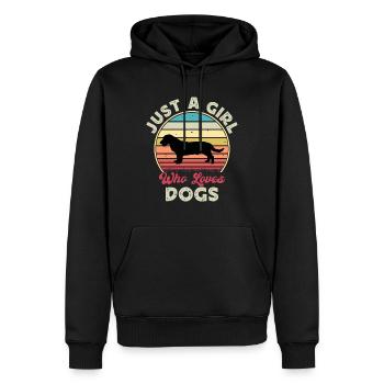 Drever Hundeliebhaber Silhouette Vintage Sonnenuntergang - Männer Premium Bio Hoodie - Schwarz - Vorne - Nico (187cm)